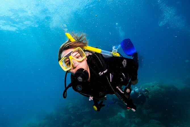 Premium Guided Dive Trip - Outer Great Barrier Reef - Frequently Asked Questions (FAQs)