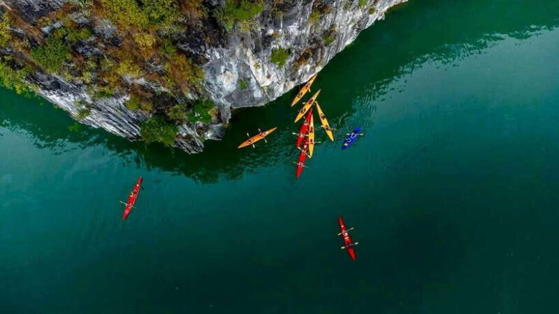 Premium Halong Day Cruise With Buffet Lunch, Cave & Island - Highlights and Activities