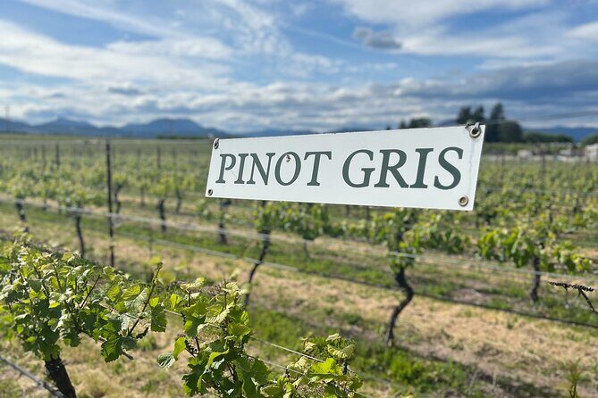 Premium Hood River Wine Tours - Final Thoughts