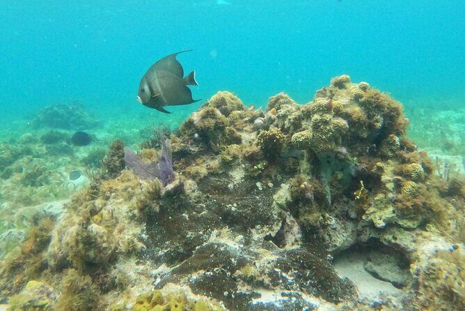 Premium Isla Mujeres Tour by Private Catamaran - Who Will Love This Tour?