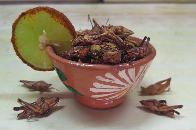 Premium Mezcal Tasting and Class - A Closer Look at the Tour Itself