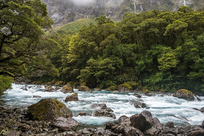 Premium Milford Sound and Te Anau Highlights 2 Days Small Group Tour - Why Choose This Tour