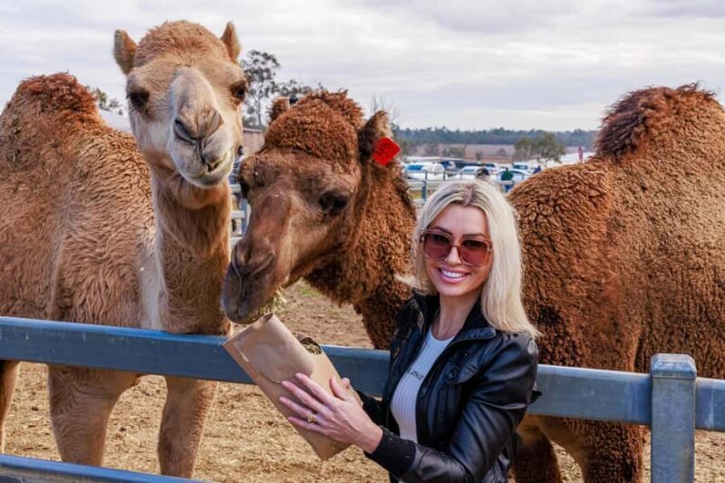 Premium Paddock to Plate Experience - The Practical Details