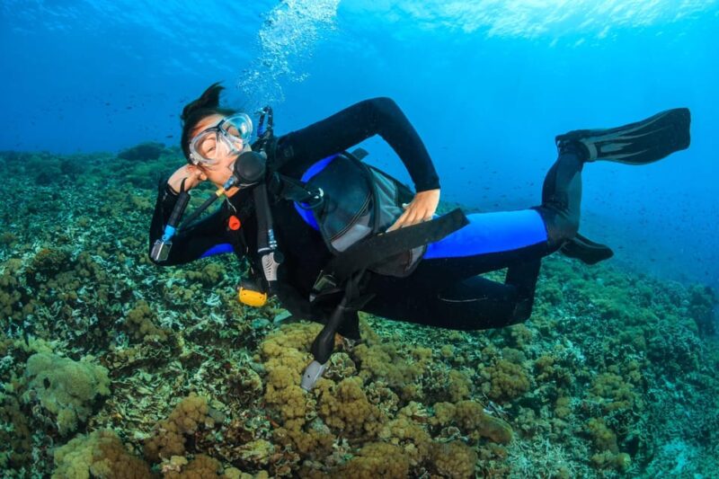 Premium PADI Open Water Course(3 Days 6 Dives) - Pricing and Inclusions