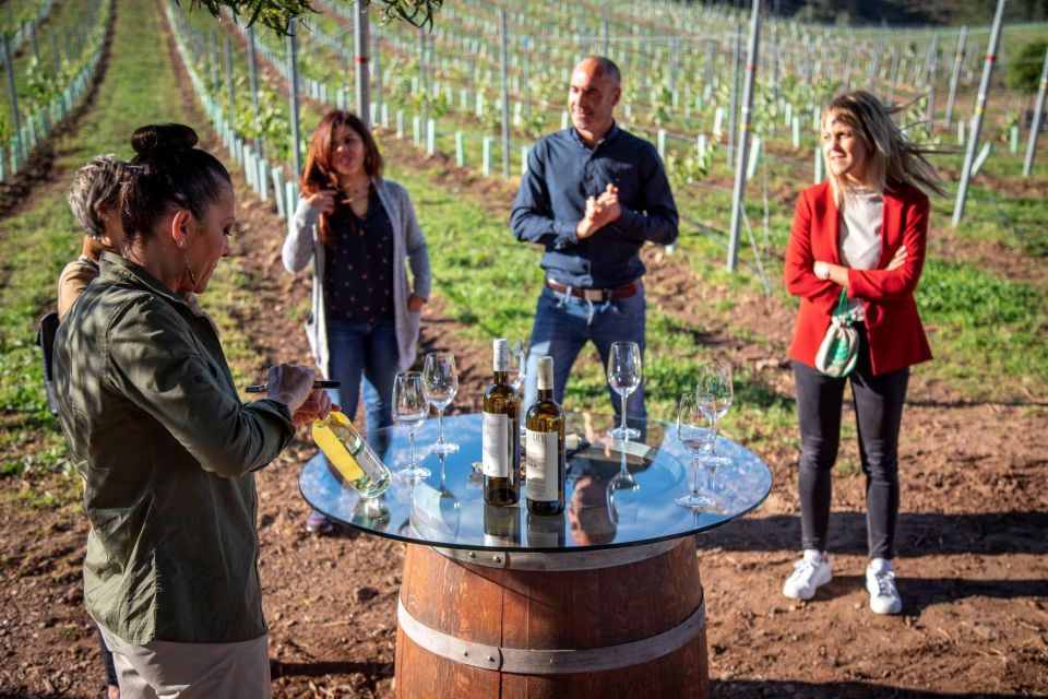 Premium Porto Santiago Compostela Tour, Lunch & Wine Tasting - Visit to Santiago De Compostela