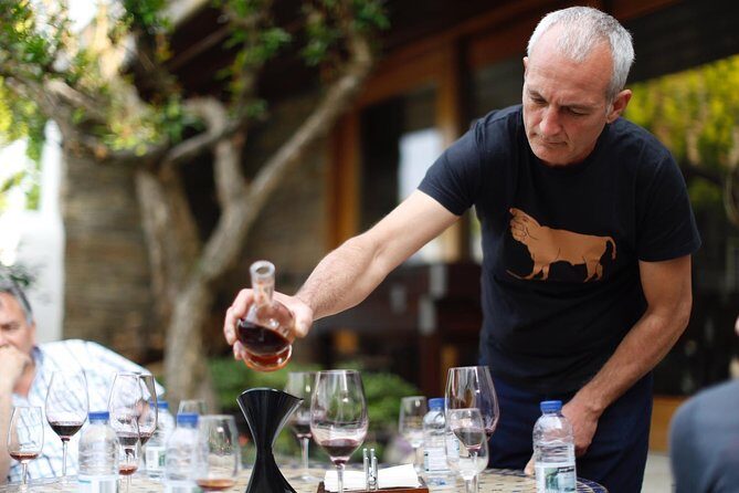 Premium Private Douro Tour: 3 Wineries with Tastings & Lunch - The Itinerary in Detail