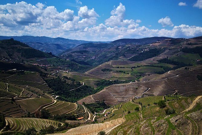 Premium Private Douro Tour: 3 Wineries with Tastings & Lunch - The Sum Up