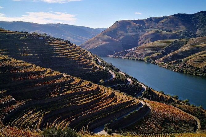 Premium Private Douro Tour: 3 Wineries with Tastings & Lunch - FAQ