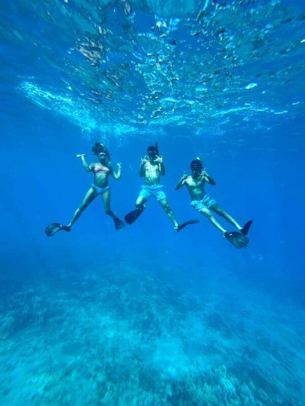 Premium Private Maui Snorkel Adventure with Turtles + Picnic - An Overview of the Tour Experience