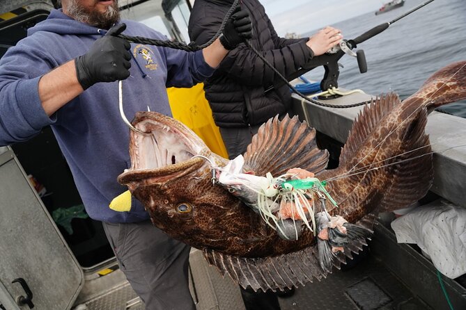 Premium Salmon Fishing - 6 Hours for Cruise Ship Guests - Good To Know