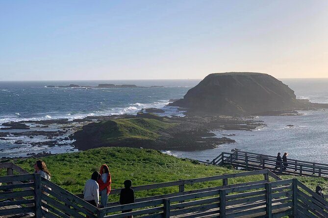 Premium Small Group Philip Island eco Tour - The Sum Up