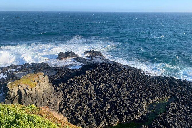 Premium Small Group Philip Island eco Tour - FAQ