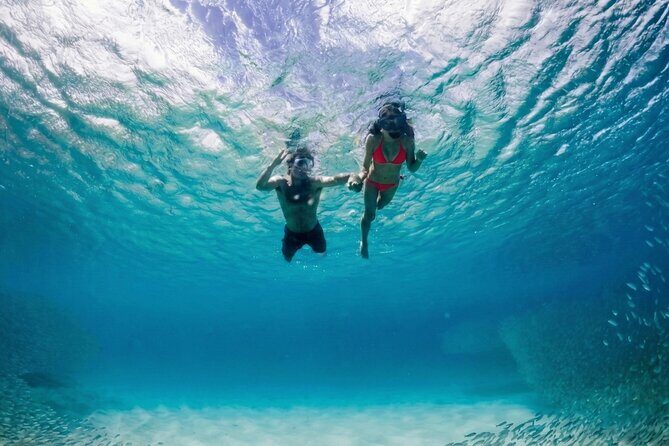 Premium Snorkel Catamaran Cruise in Los Cabos - Pricing and Value