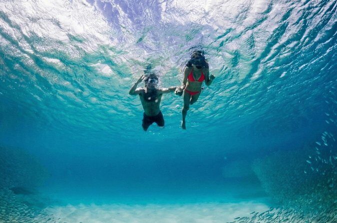 Premium Snorkel Catamaran Cruise in Los Cabos - Final Thoughts