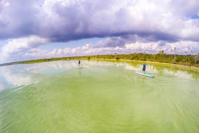 Premium SUP Expedition to Lagoon Kaan Luum & Taco Stop in Tulum - Pricing and Booking