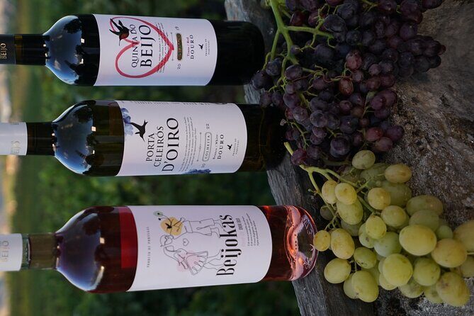 PREMIUM TASTING and TAPAS with GUIDED TOUR - The Sum Up: Who Should Book This Tour?