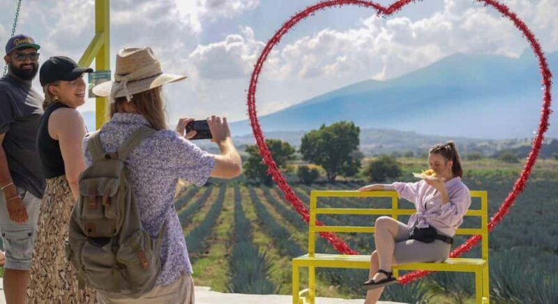 Premium Tequila Route with a professional tasting - Key Points