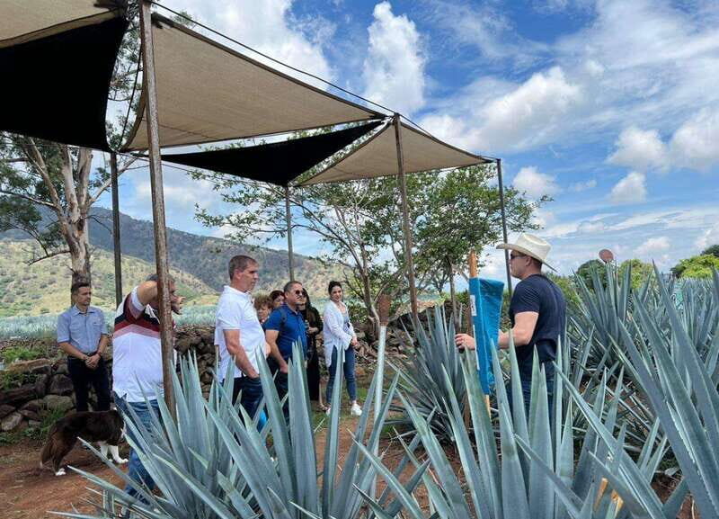 Premium Tequila Route with professional tasting - Discover the Premium Tequila Route with Professional Tasting