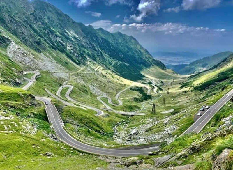 PREMIUM TOUR: Bears Safari on Transfagarasan Road - The Practical Side: Transport, Timing, and Value