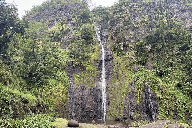 Premium Tour DE Tahiti, EN Half Day Privatised - A Practical Look at the Premium Half-Day Tour in Tahiti