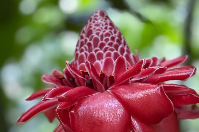 Premium Tour DE Tahiti, EN Half Day Privatised - The Personal Touch and Authentic Knowledge