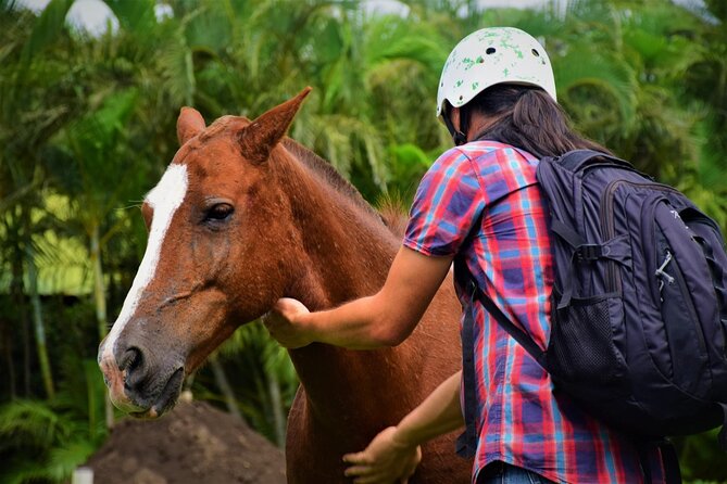 Premium Tour: Rincón De La Vieja Volcano Adventure Combo Tour - Activities Included