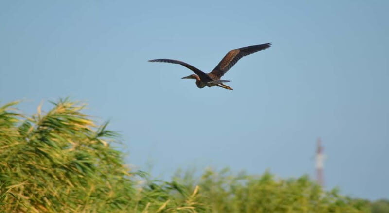 PREMIUM TOUR SMALL GROUP Bucharest-The Heart of Danube Delta - Key Points