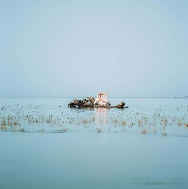 PREMIUM TOUR SMALL GROUP Bucharest-The Heart of Danube Delta - The Journey Begins: From Bucharest to Tulcea