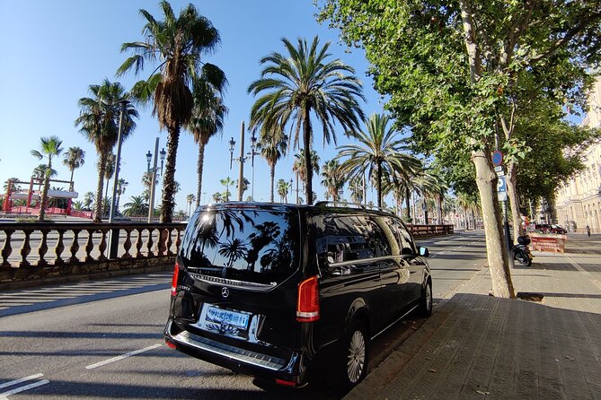 Premium Transfer From / to Airport and Port - Inclusions and Accessibility