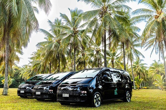 Premium Van, Private Transfer, Palm Cove - Cairns Airport. - Who Is This Transfer Best For?