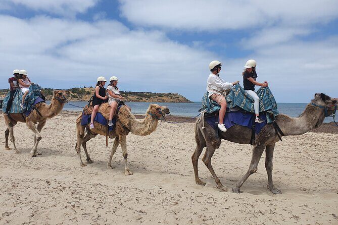 Premium Victor Harbor, Port Elliot and d'Arenberg Minibus Tour - Exploring the Scenic South Coast: The Itinerary in Detail