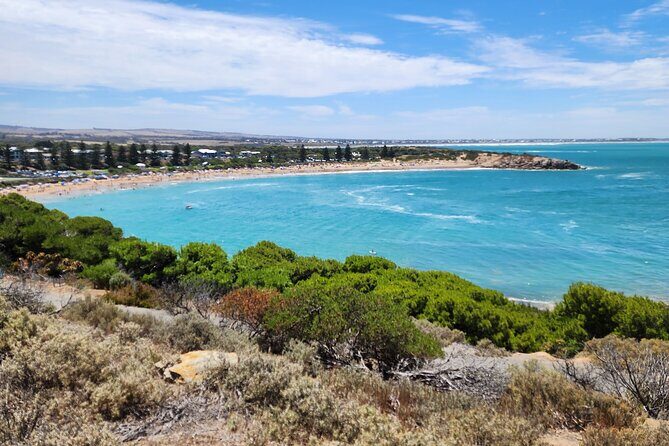 Premium Victor Harbor, Port Elliot and d'Arenberg Minibus Tour - Frequently Asked Questions