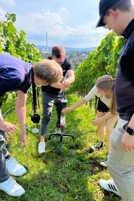 Premium wine hike Stuttgart with games and winemaker's snack - FAQ