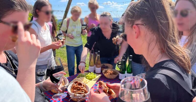 Premium Wine Hike Stuttgart With Games and Winemakers Snack - Frequently Asked Questions