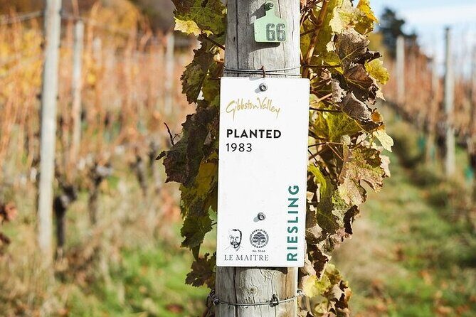 Premium Wine Tour Queenstown Tasting at 4 Wineries - Authentic Experiences and Customer Feedback