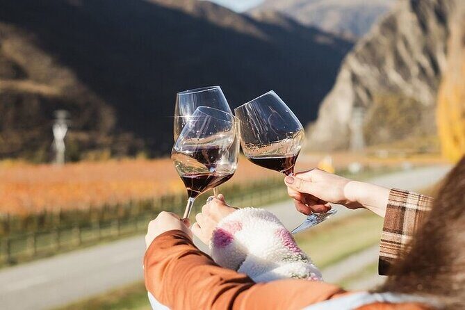 Premium Wine Tour Queenstown Tasting at 4 Wineries - Final Thoughts