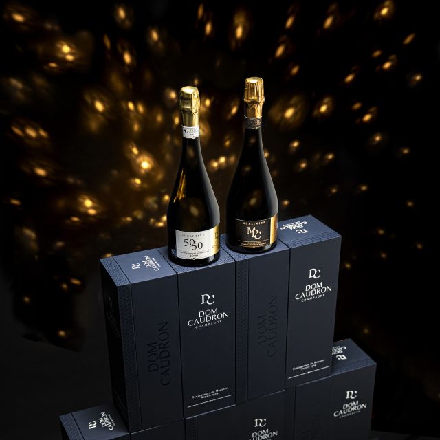 Prestige Experience - Tour in French - Champagne Passy-Grigny - Key Points
