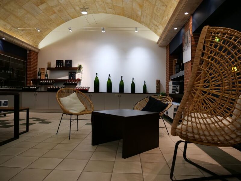 Prestige Experience - Tour in French - Champagne Passy-Grigny - Experience Highlights
