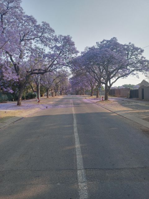 Pretoria Half Day Tour - Church Square and Guided Tour