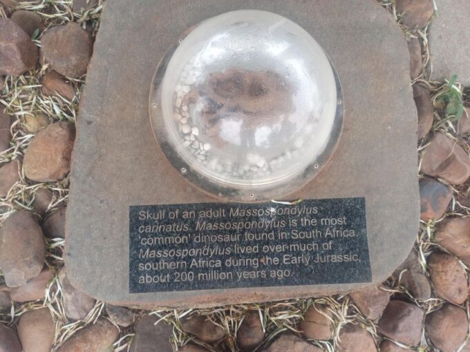 Pretoria/Sandton: Cradle of Humankind and Wonder Caves Tour - Frequently Asked Questions