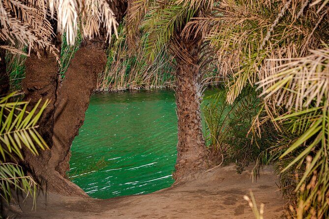 Preveli Beach and Damnoni Beach Full-Day Trip From Chania - Lunch and Free Time in Plakias