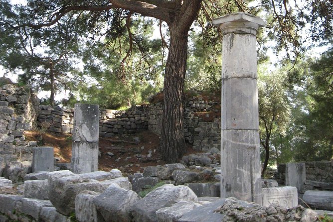 Priene -Miletus-Didyma Tour - Pickup and Accessibility Details