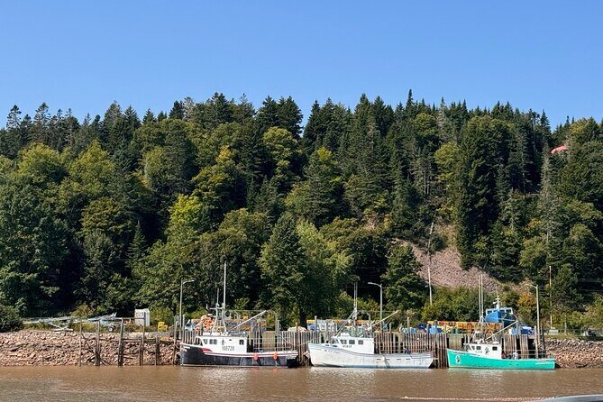 Prime Tour Saint John - Transportation, Group Size, and Comfort