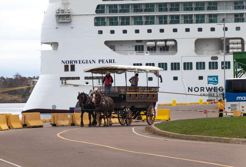 Prince Edward Island: Horse-Drawn Carriage Tour - An In-Depth Look at the Experience