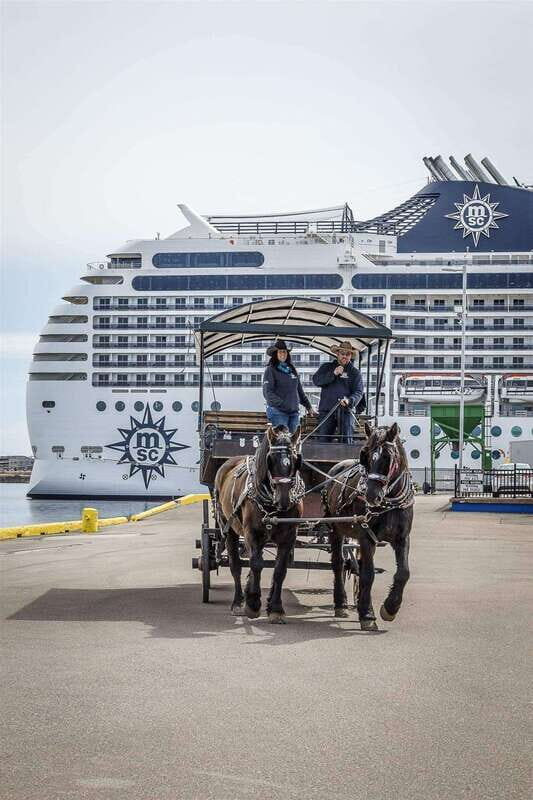 Prince Edward Island: Horse-Drawn Carriage Tour - Who Should Consider This Tour?