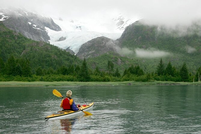 Prince William Sound Glacier Tour - Whittier - Tour Details