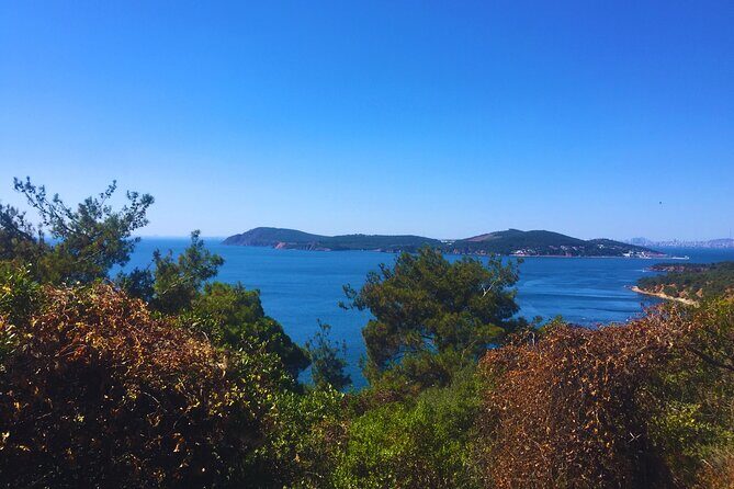 Princes' Islands E-bike Tour - Final Thoughts