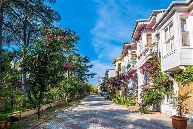 Princess Island Tour Full Day with Lunch - Key Points