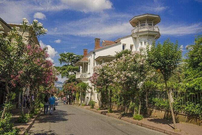 Princess Islands Daily Tour from Istanbul - Who Should Consider This Tour?