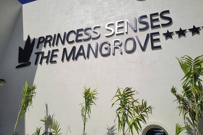 Princess Senses The Mangrove Airport Transfers - Final Thoughts